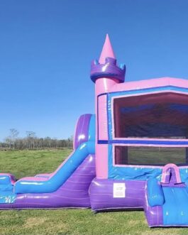 Lucky combo bounce house