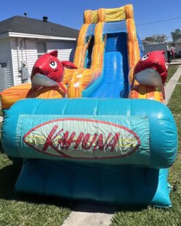 Big kahuna waterslide